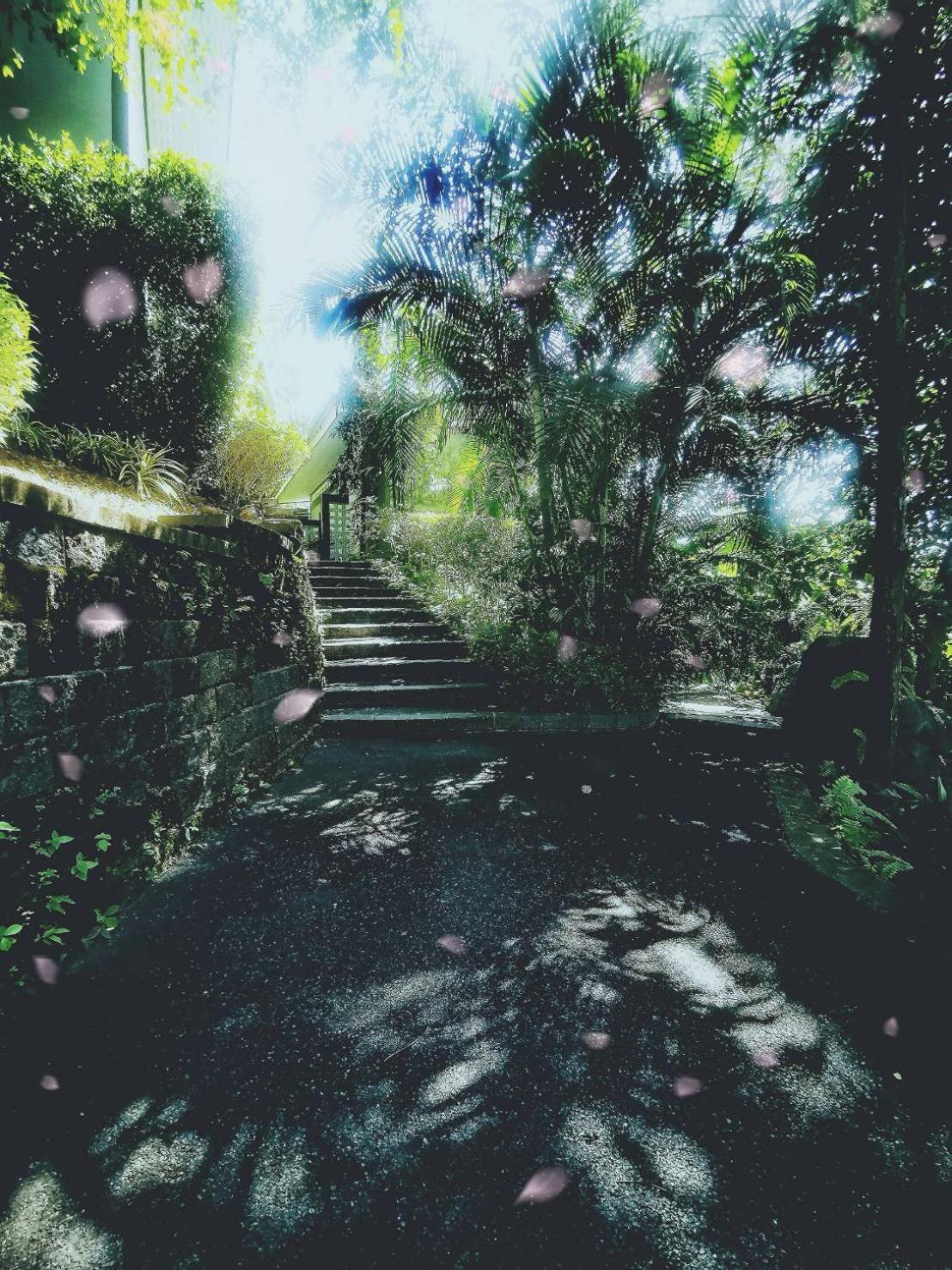 Bangnu Greenery Resort Takua Thung エクステリア 写真