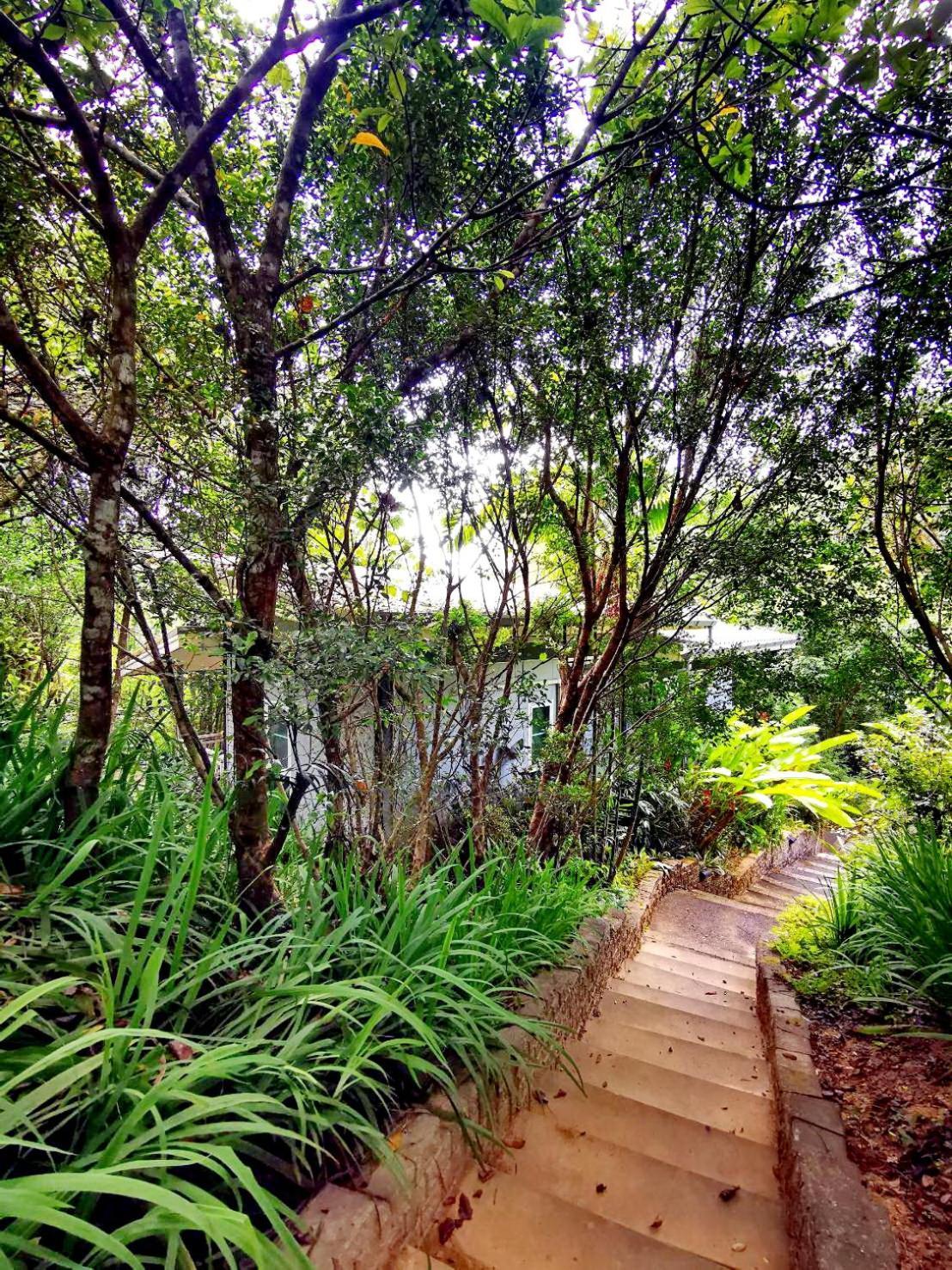 Bangnu Greenery Resort Takua Thung エクステリア 写真