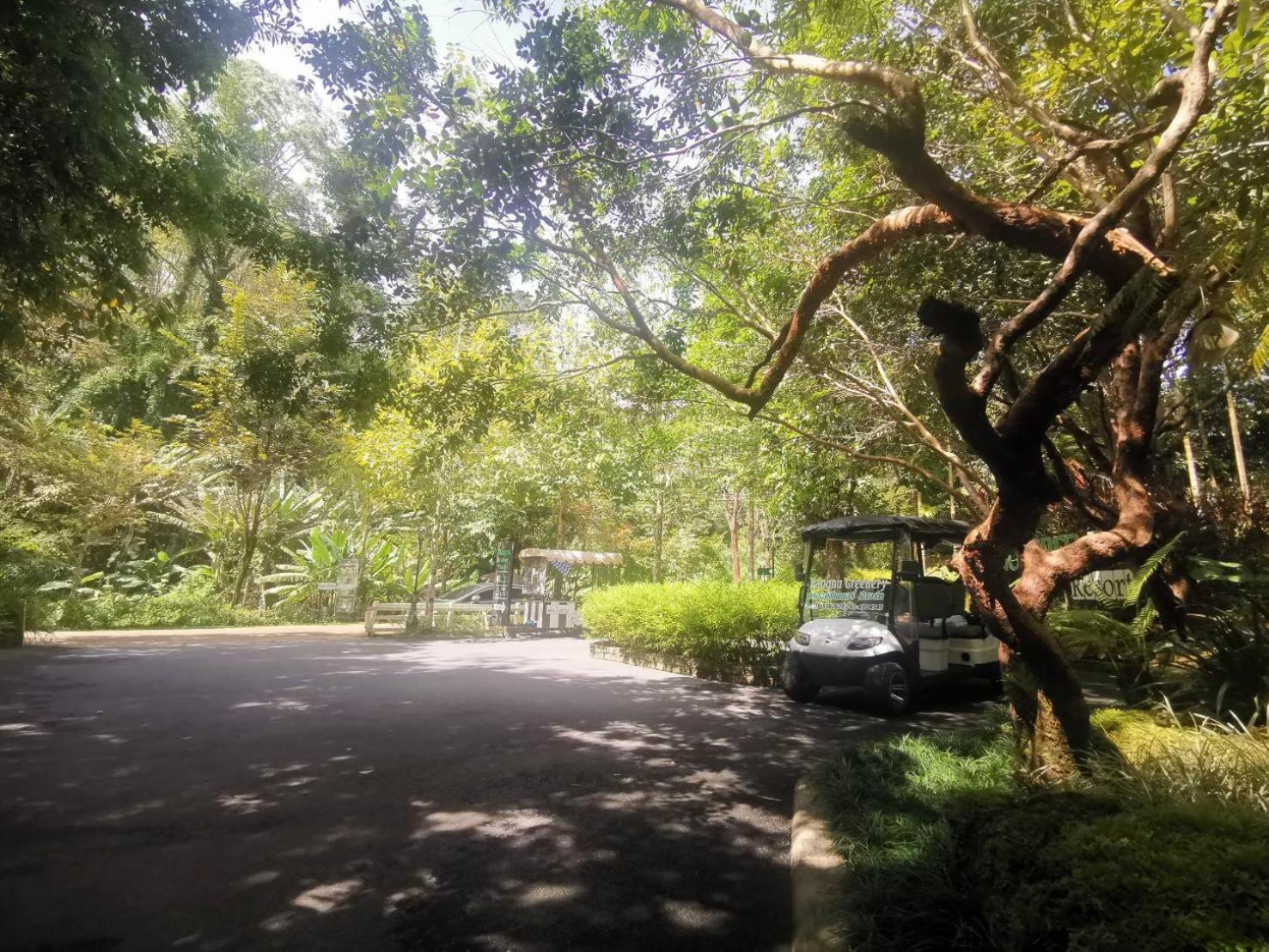 Bangnu Greenery Resort Takua Thung エクステリア 写真