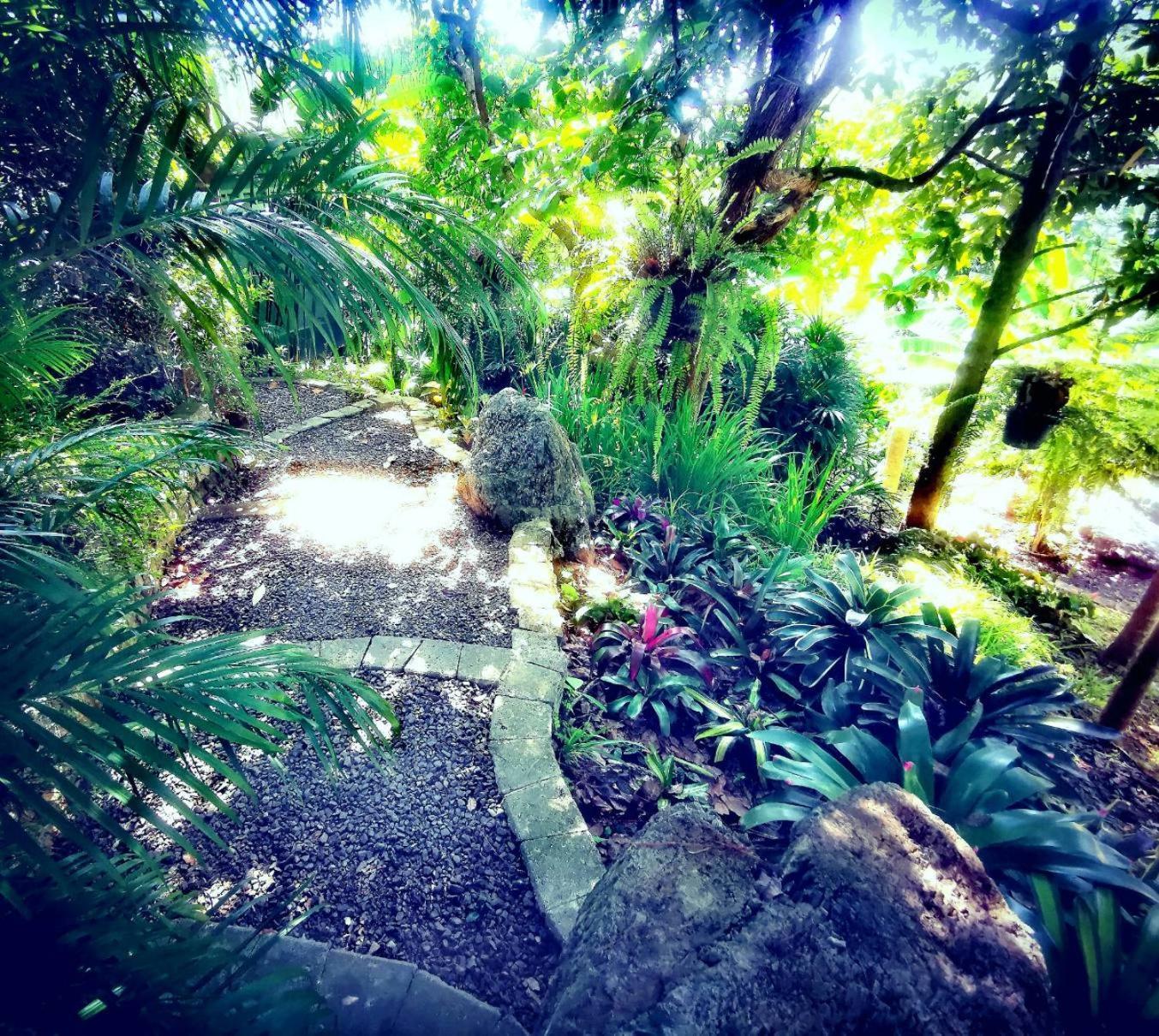 Bangnu Greenery Resort Takua Thung エクステリア 写真