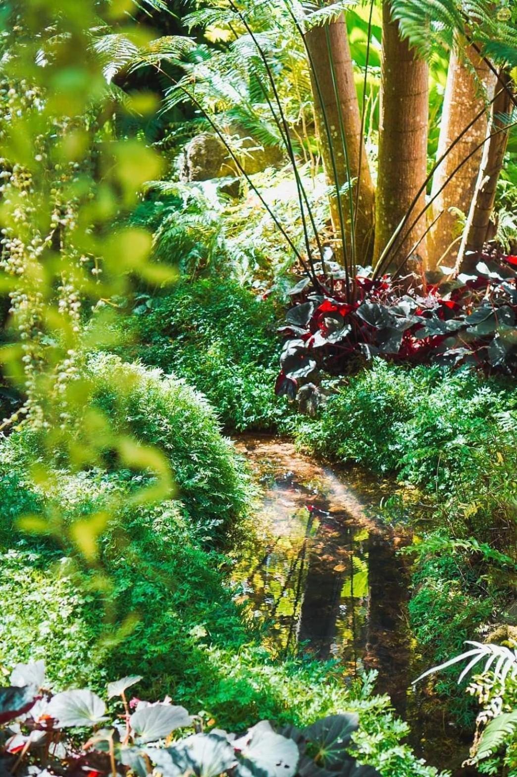 Bangnu Greenery Resort Takua Thung エクステリア 写真