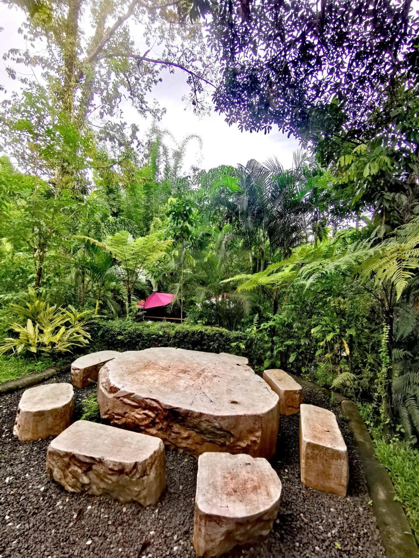 Bangnu Greenery Resort Takua Thung エクステリア 写真
