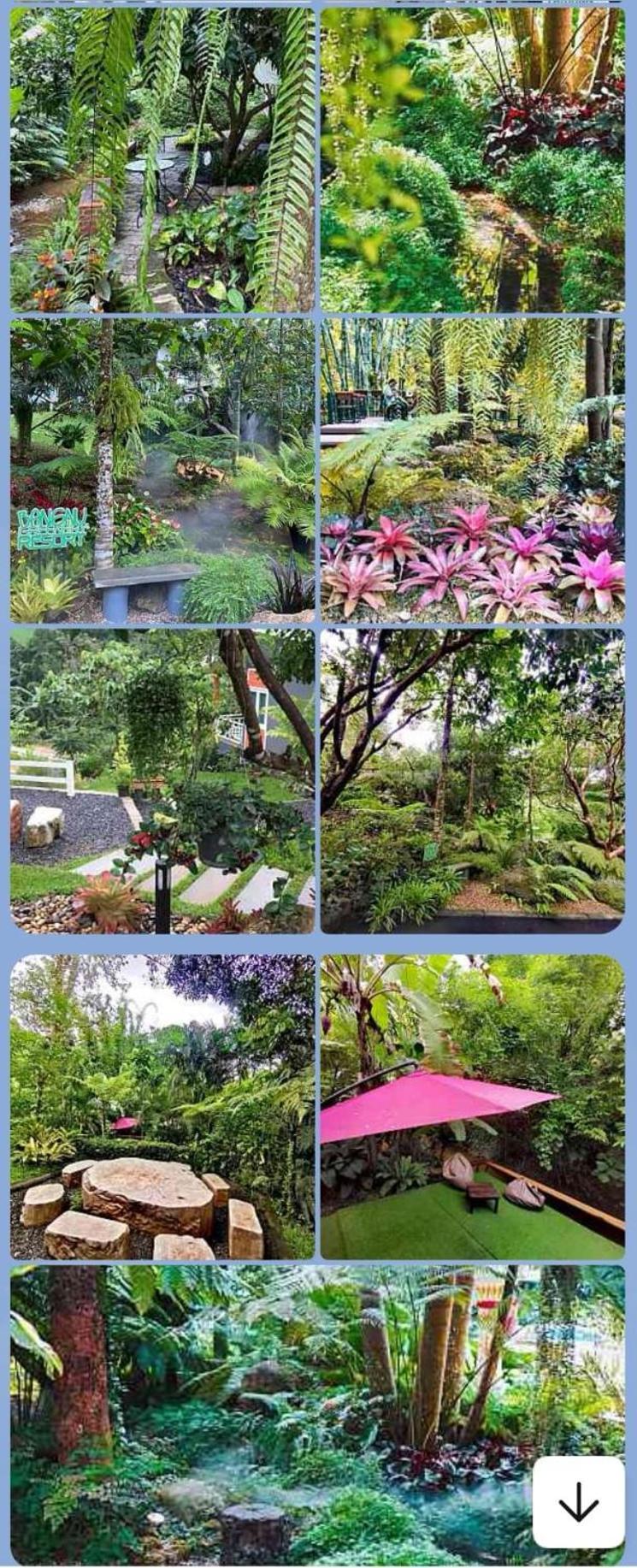 Bangnu Greenery Resort Takua Thung エクステリア 写真